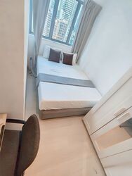Newton 21 (D11), Apartment #506296911